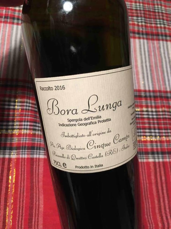 Bora Lunga - Cinque Campi - Vanni Nizzoli 