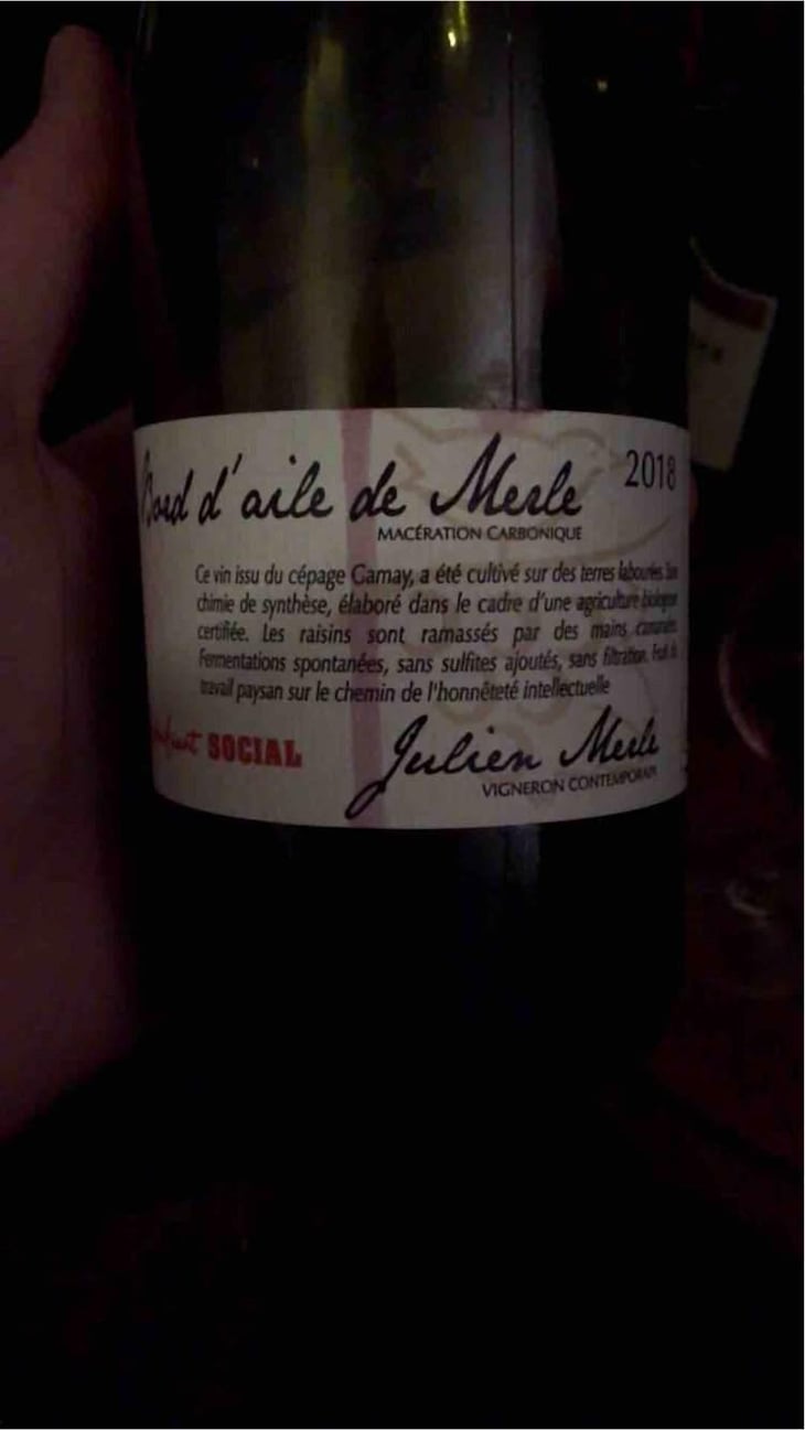 Bord D'Aile De Merle - Julien Merle - Julien Merle 