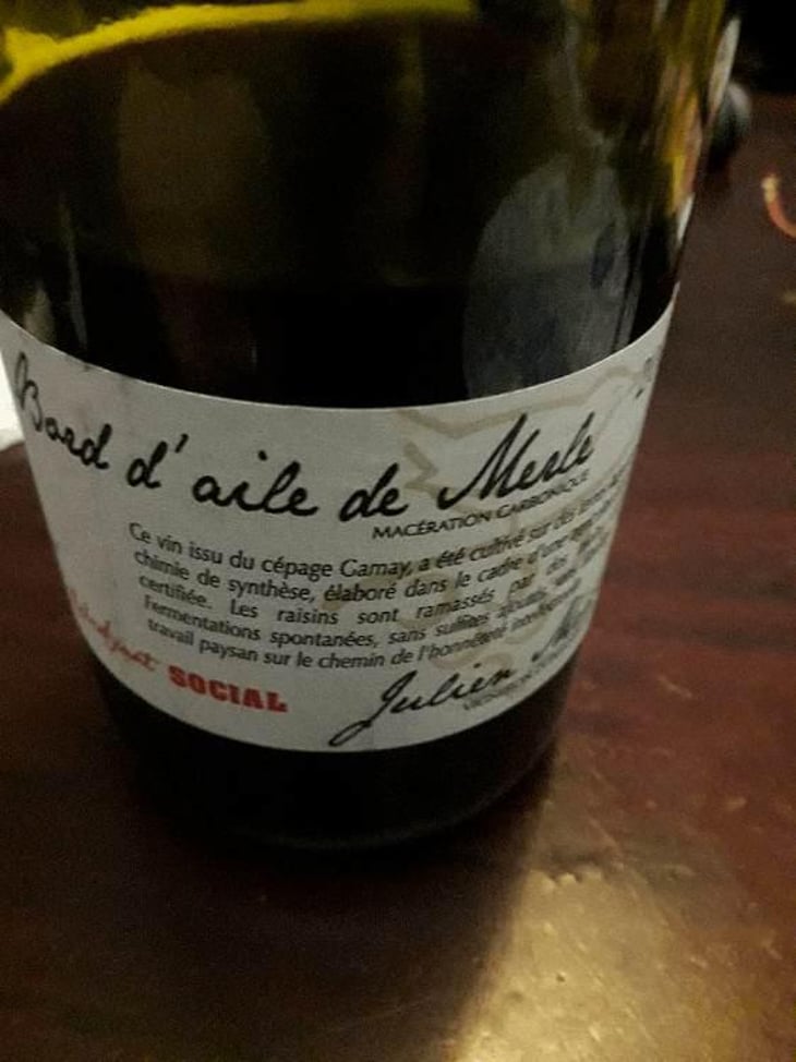 Bord D'Aile De Merle - Julien Merle - Julien Merle 
