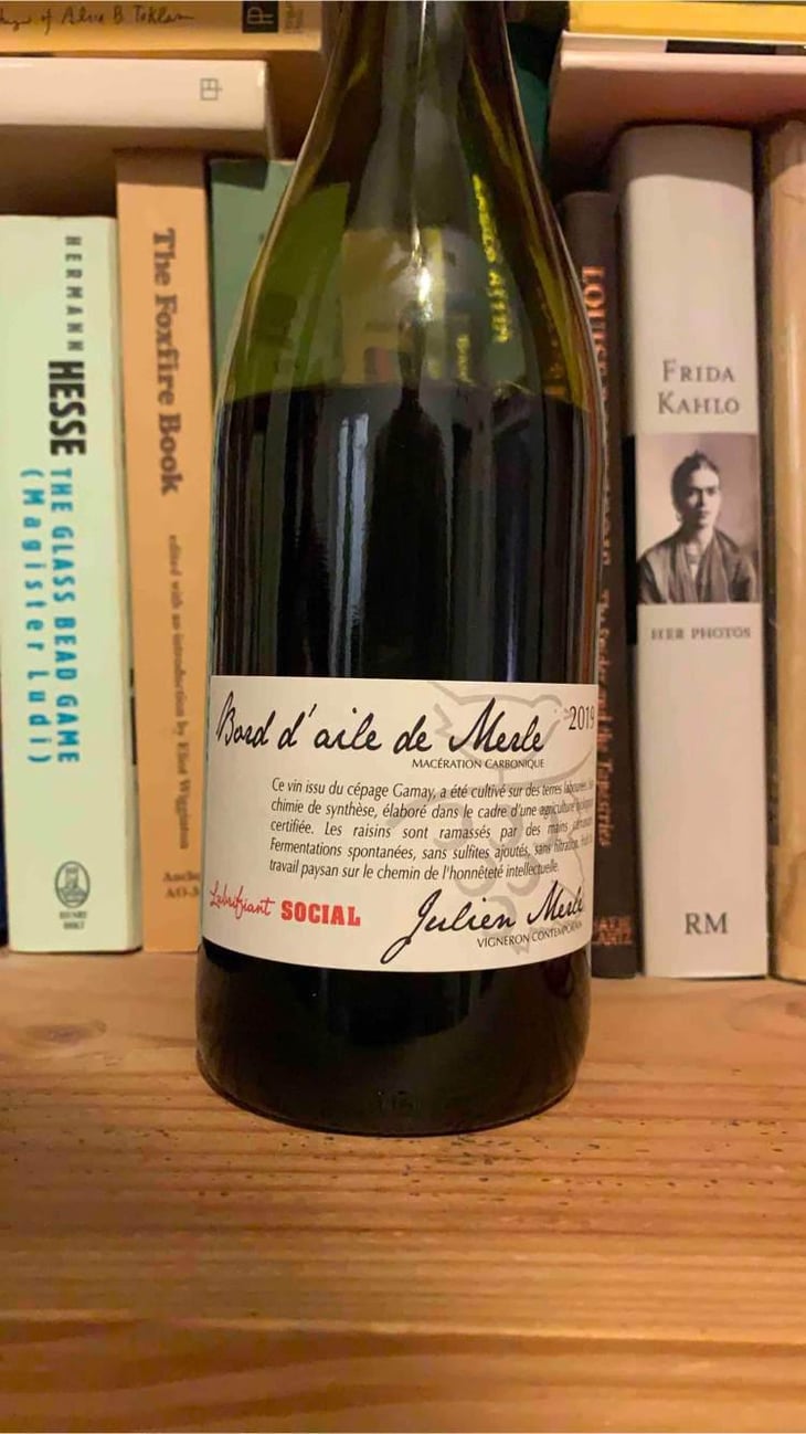 Bord D'Aile De Merle - Julien Merle - Julien Merle 