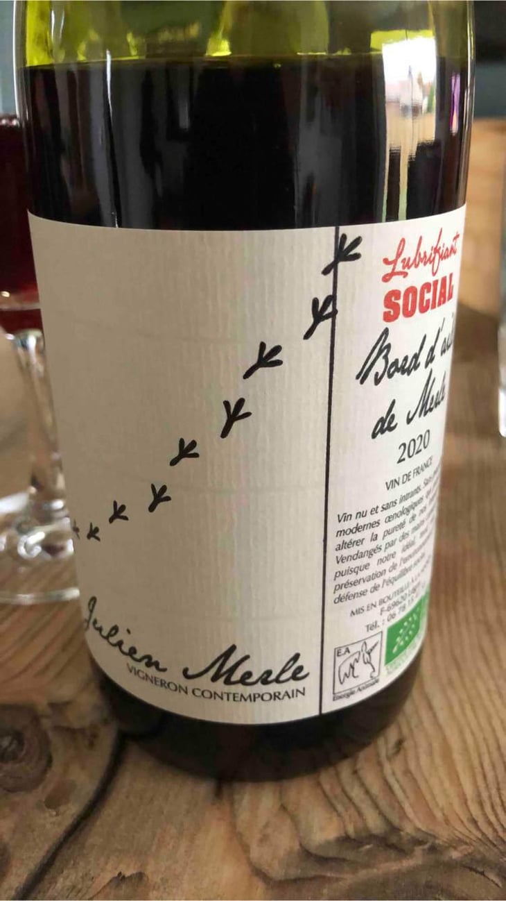 Bord D'Aile De Merle - Julien Merle - Julien Merle 