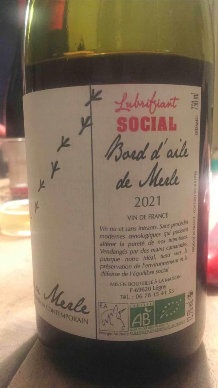 Bord D'Aile De Merle - Julien Merle - Julien Merle 