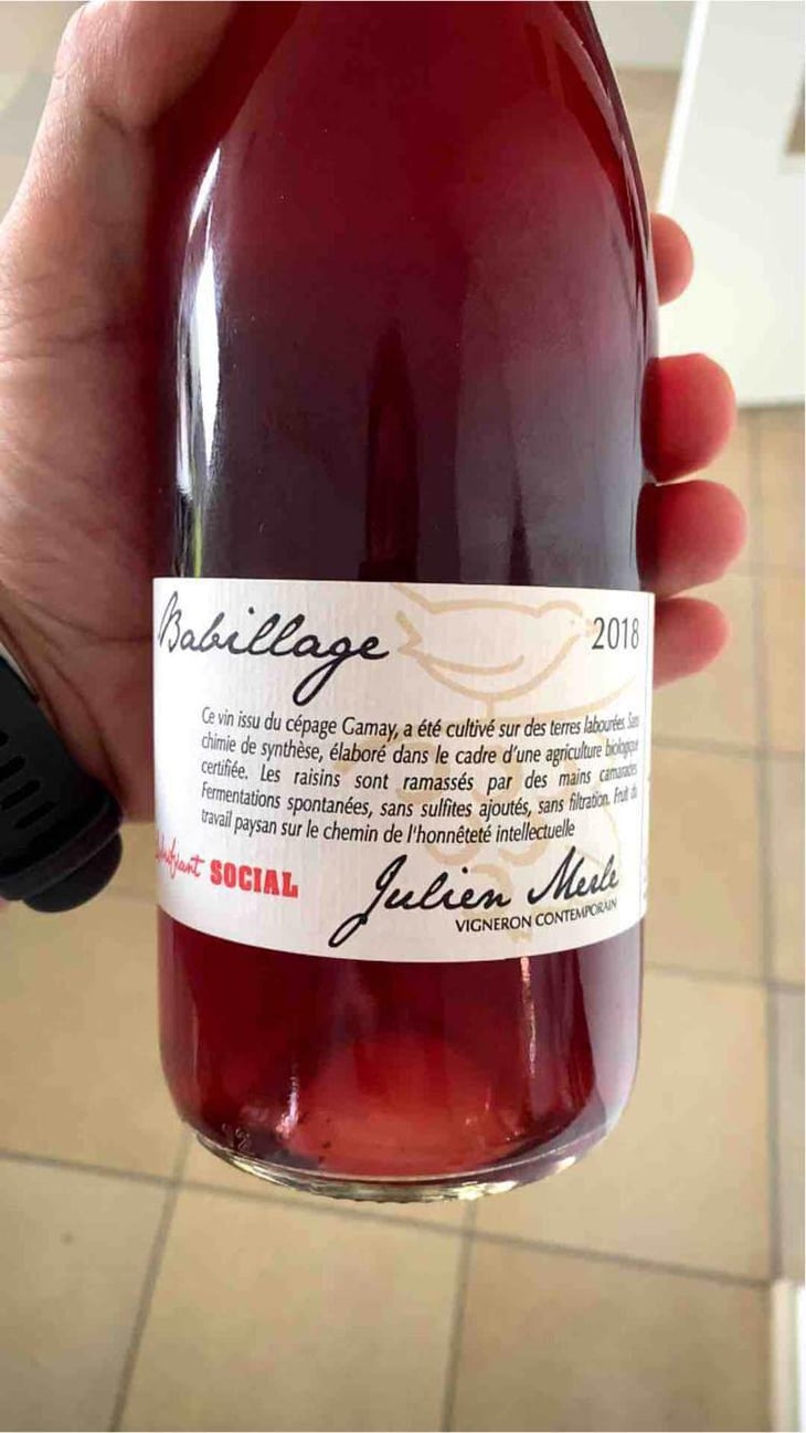 Bord D'Aile De Merle - Julien Merle - Julien Merle 
