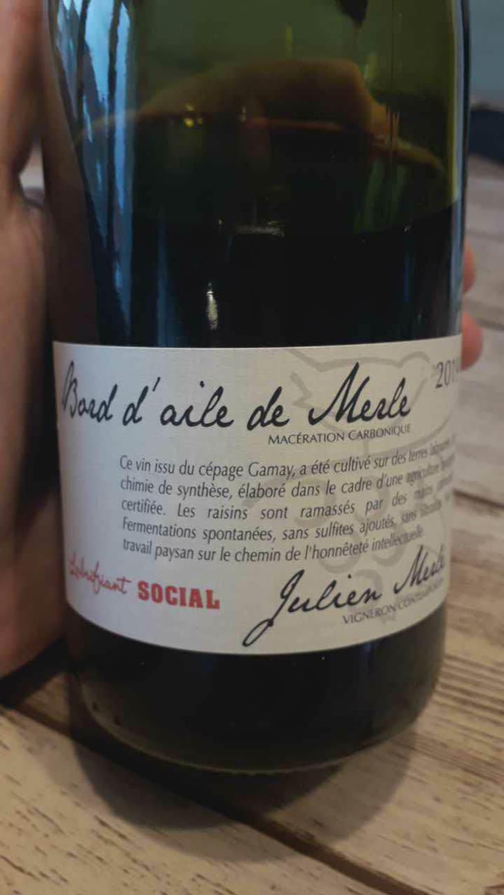 Bord D'Aile De Merle - Julien Merle - Julien Merle 
