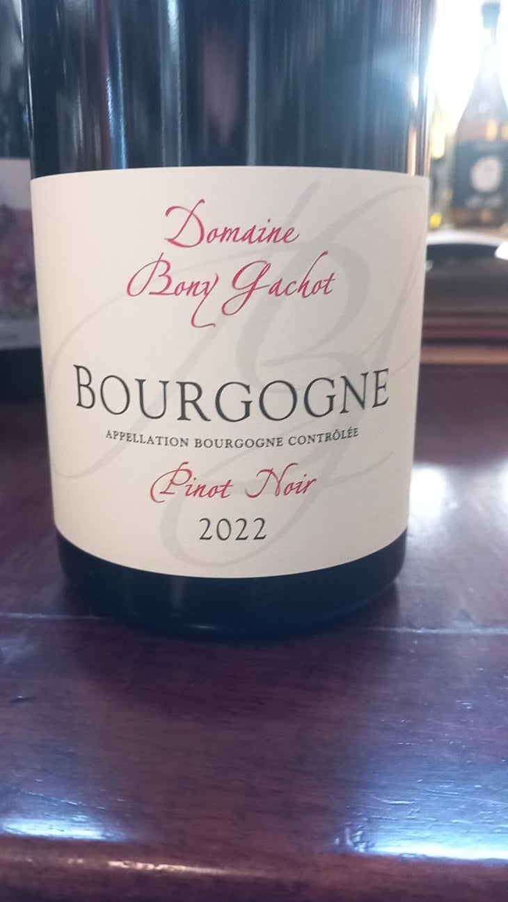 Bourgogne - Domaine Bony Gachot - Fabienne Bony et Eva Gachot 