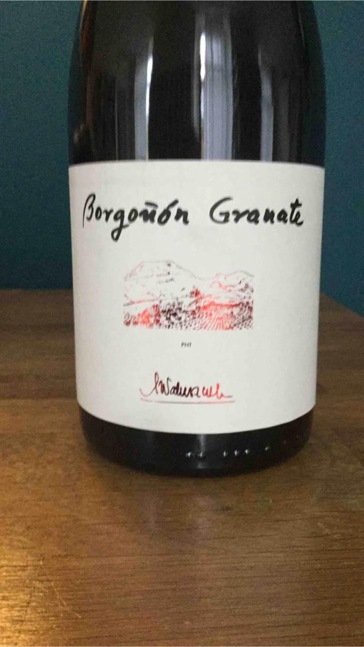 Borgoñón Granate - Barranco Oscuro - Manuel & Lorenzo Valenzuela 
