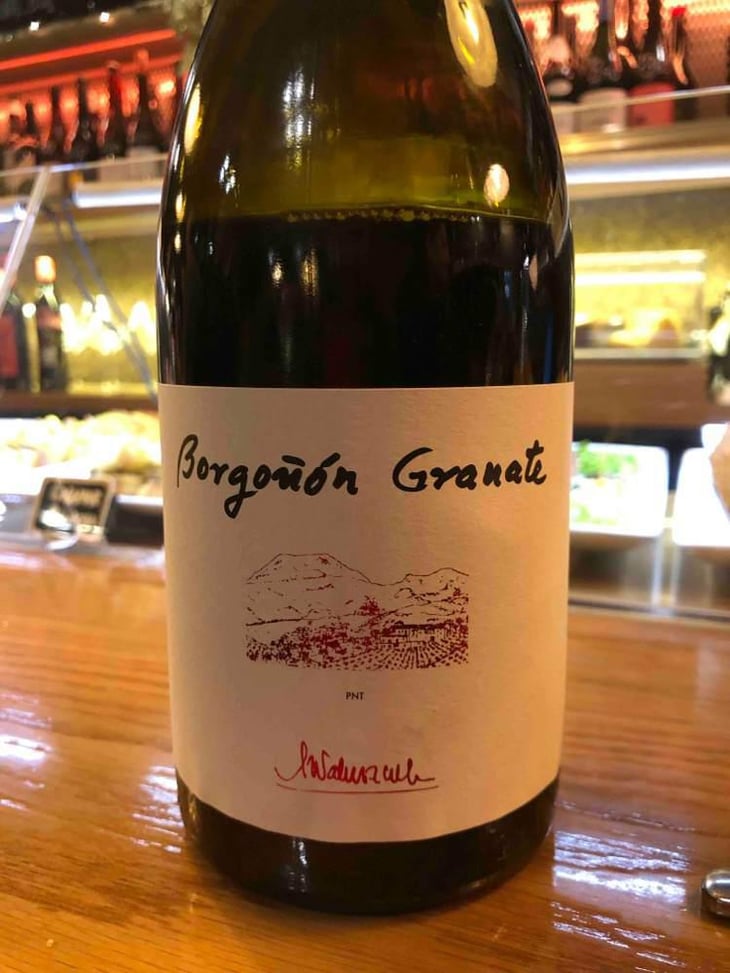 Borgoñón Granate - Barranco Oscuro - Manuel & Lorenzo Valenzuela 