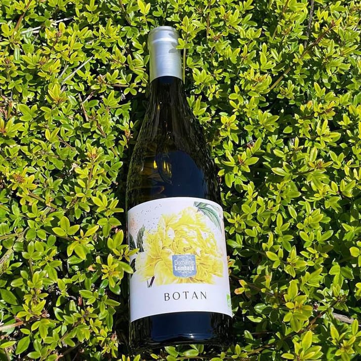 Botan - Domaine Lombard - Jonathan Alméras & Pauline Sapet -2021