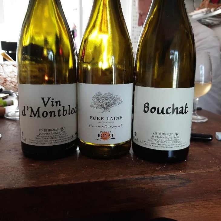 Bouchat - Domaine Sauveterre - Ghislaine & Jerôme Guichard 