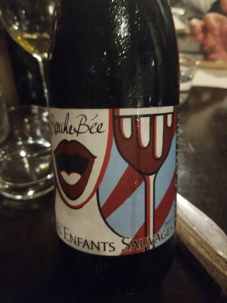 Bouche Bée - Les Enfants Sauvages - Nikolaus & Caroline Bantlin -2019