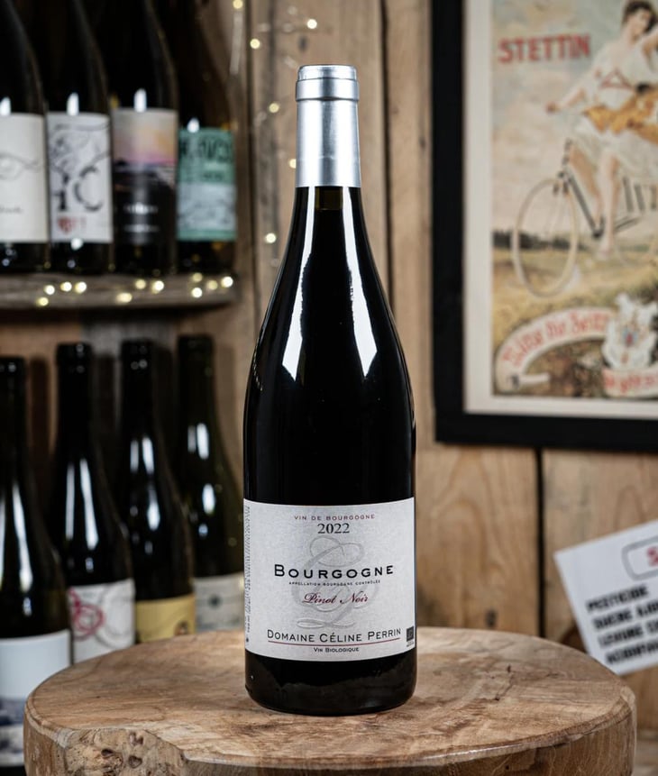 Bourgogne 2022 - Domaine Céline Perrin - Domain Perrin Céline - Céline Perrin -2022