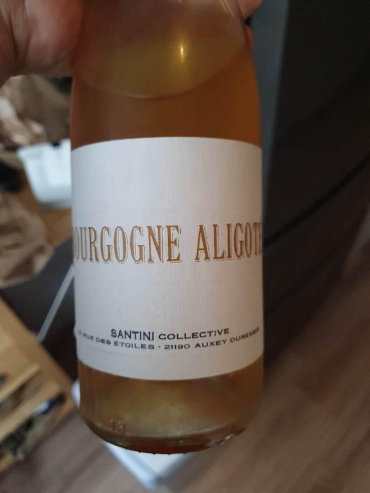 Bourgogne Aligoté - Santini Collective - Christopher & Patrick Santini 