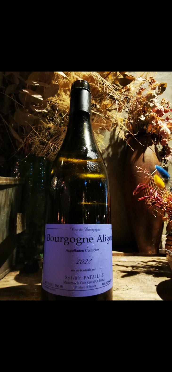 Bourgogne Aligoté - Sylvain Pataille - Sylvain Pataille 