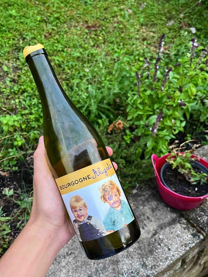 Bourgogne Aligoté - Domaine Robert-Denogent - Jean-Jacques, Antoine & Nicolas Robert -2020