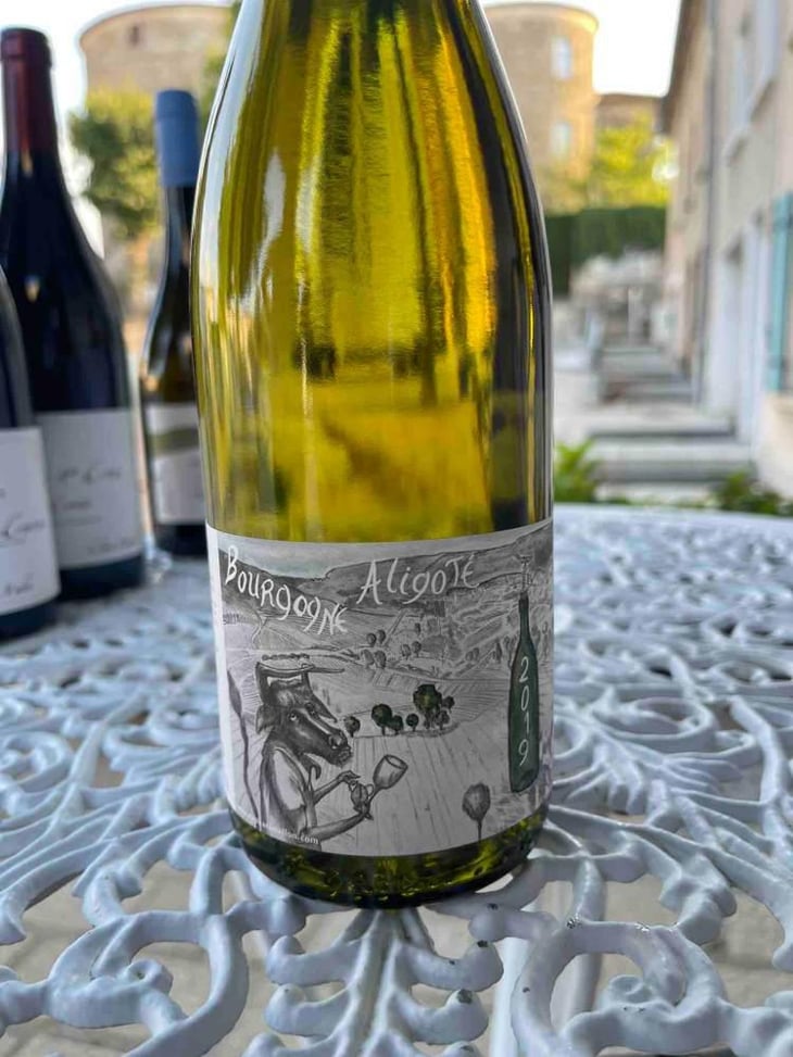 Bourgogne Aligoté - Domaine Henri Naudin-Ferrand - Claire Naudin 