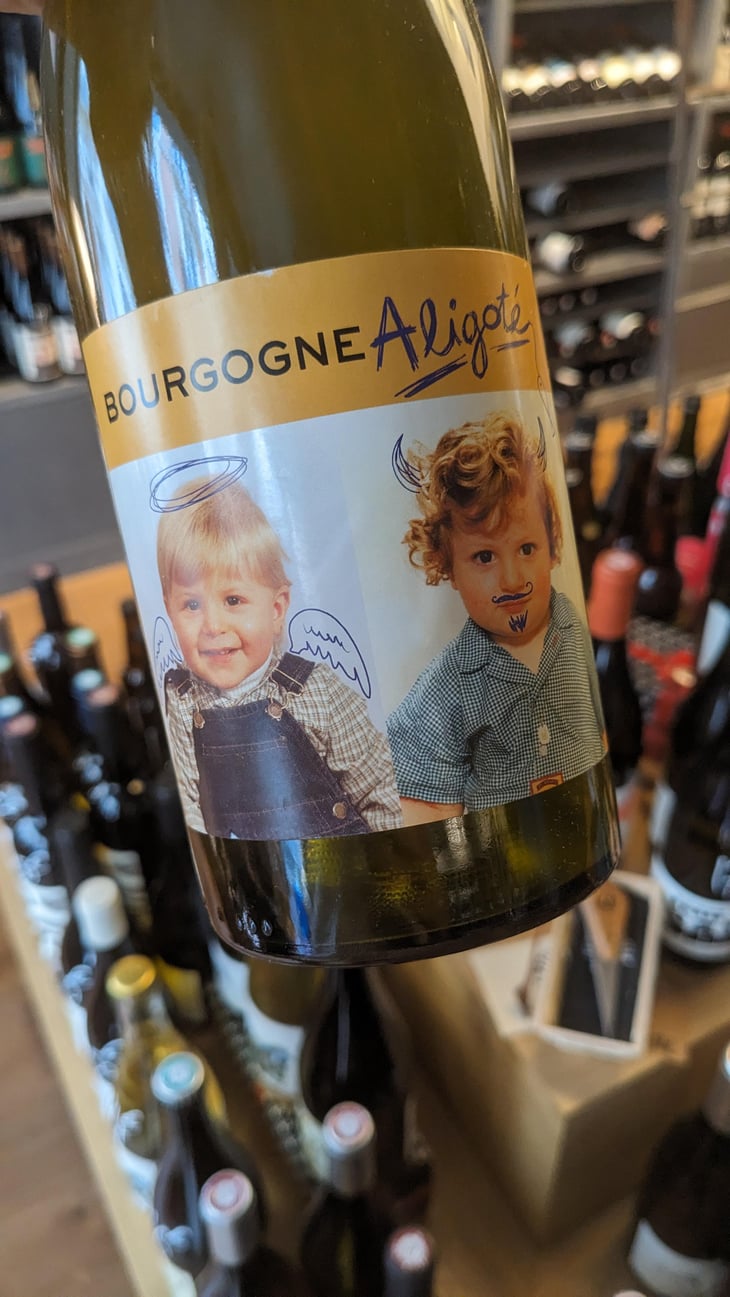 Bourgogne Aligoté - Domaine Robert-Denogent - Jean-Jacques, Antoine & Nicolas Robert -2020