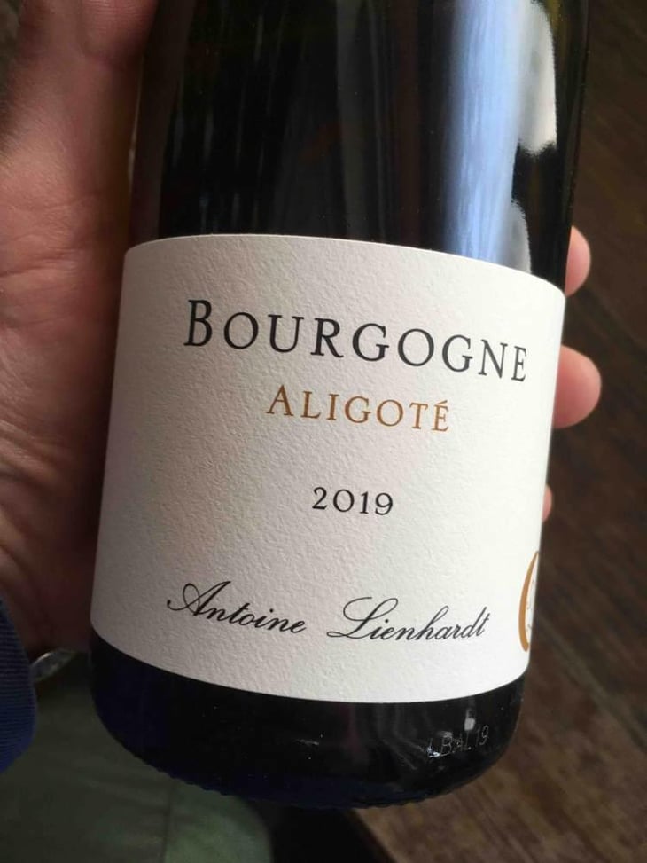 Bourgogne Aligoté - Antoine Lienhardt - Antoine Lienhardt 