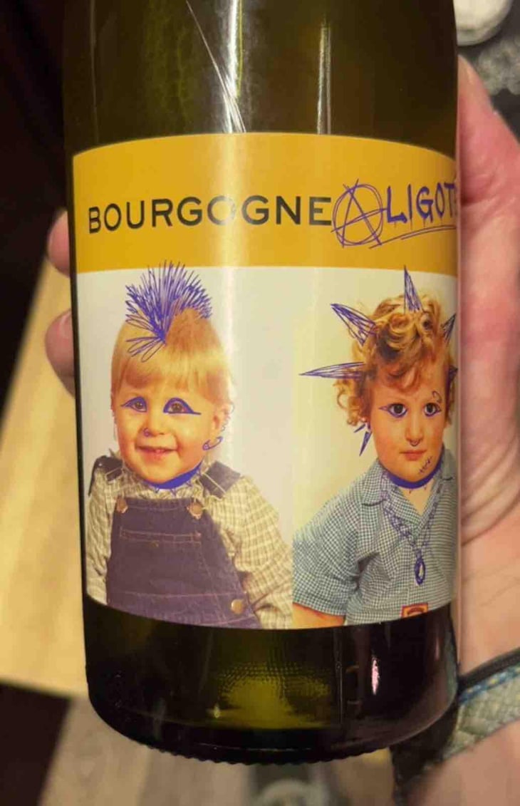 Bourgogne Aligoté - Domaine Robert-Denogent - Jean-Jacques, Antoine & Nicolas Robert -2020