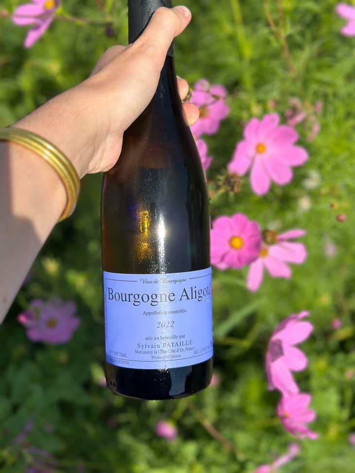 Bourgogne Aligoté - Sylvain Pataille - Sylvain Pataille 
