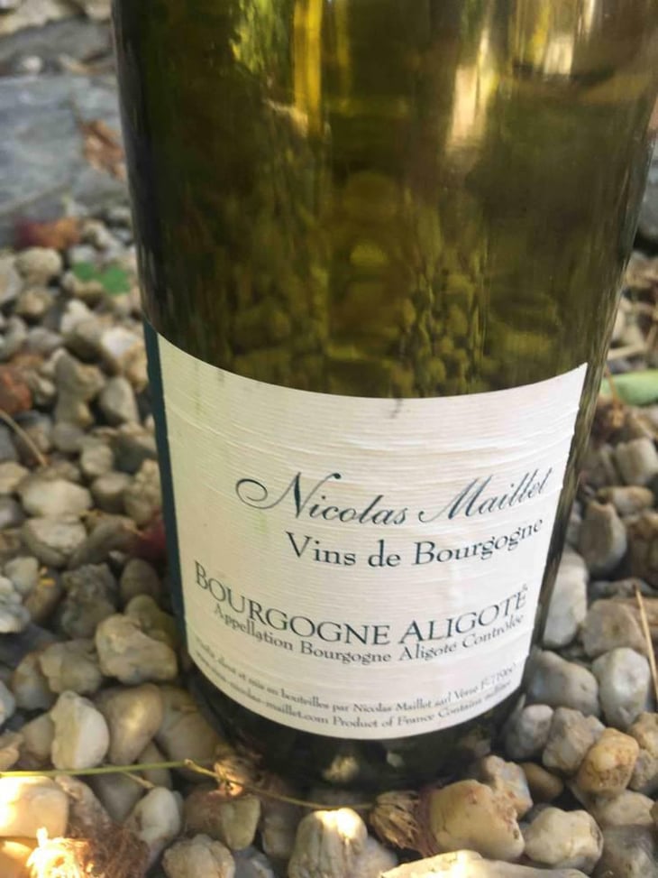 Bourgogne Aligoté - Nicolas Maillet - Nicolas Maillet 