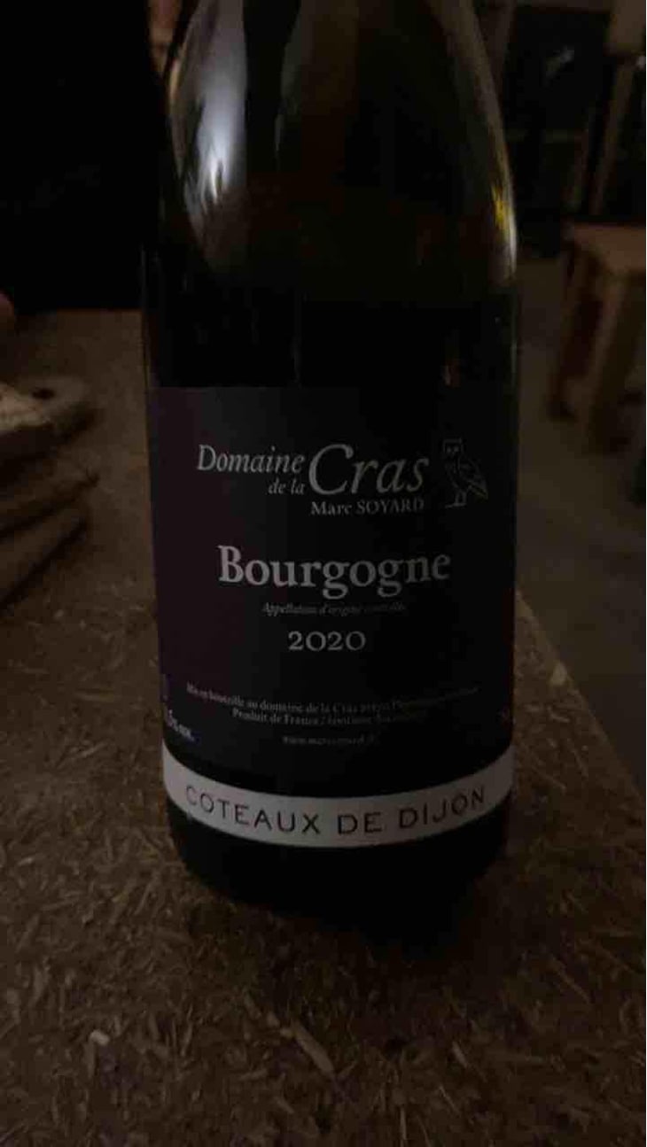 Bourgogne (blanc) - Domaine de la Cras - Marc Soyard 