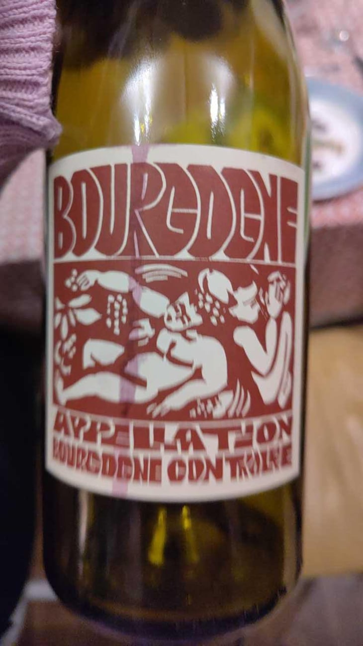 Bourgogne Blanc - Domaine de La Soeur Cadette - Jean & Valentin Montanet 