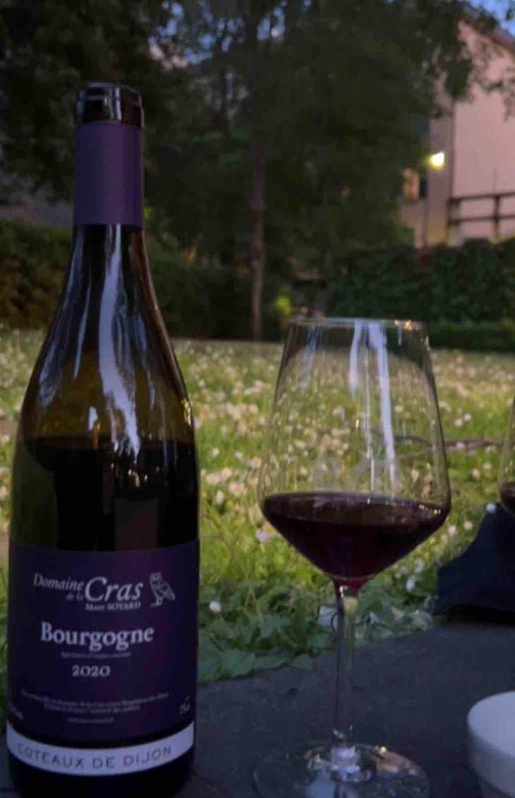 Bourgogne Côteaux de Dijon Rouge - Domaine de la Cras - Marc Soyard 