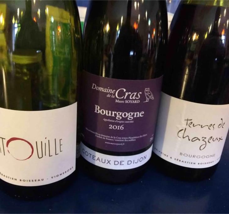 Bourgogne Côteaux de Dijon Rouge - Domaine de la Cras - Marc Soyard 