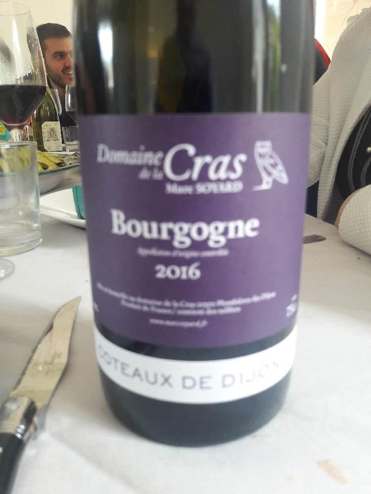 Bourgogne Côteaux de Dijon Rouge - Domaine de la Cras - Marc Soyard 