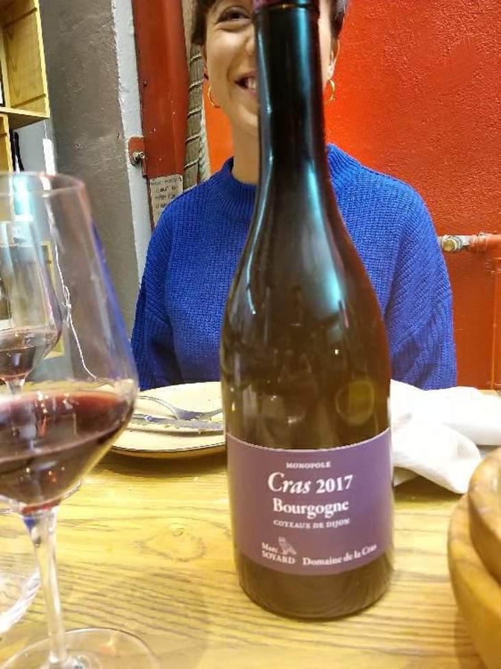 Bourgogne Côteaux de Dijon Rouge - Domaine de la Cras - Marc Soyard 