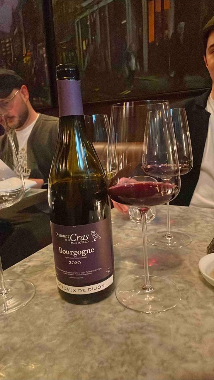 Bourgogne Côteaux de Dijon Rouge - Domaine de la Cras - Marc Soyard 