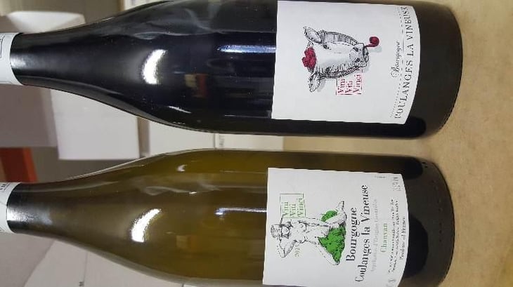 Bourgogne Coulanges La Vineuse "Chanvan" Blanc - Vini Viti Vinci - Nicolas Vauthier "Kikro" 