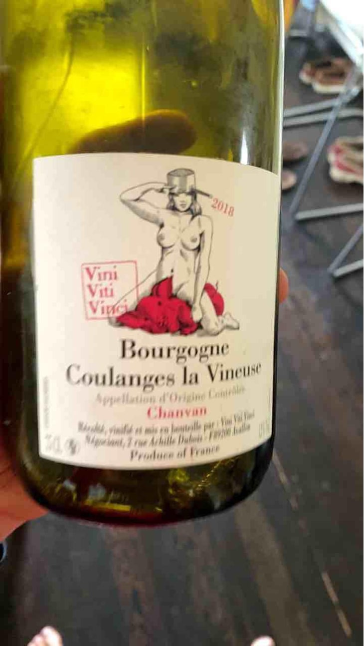 Bourgogne Coulanges La Vineuse "Chanvan" - Vini Viti Vinci - Nicolas Vauthier "Kikro" 