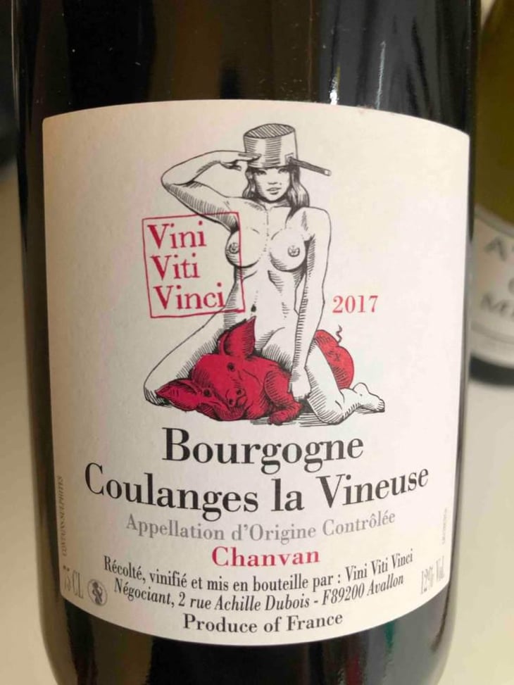 Bourgogne Coulanges La Vineuse "Chanvan" - Vini Viti Vinci - Nicolas Vauthier "Kikro" 