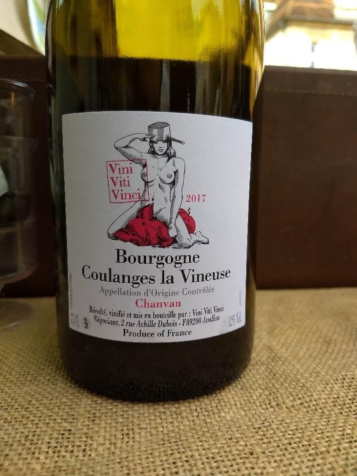 Bourgogne Coulanges La Vineuse "Chanvan" - Vini Viti Vinci - Nicolas Vauthier "Kikro" 