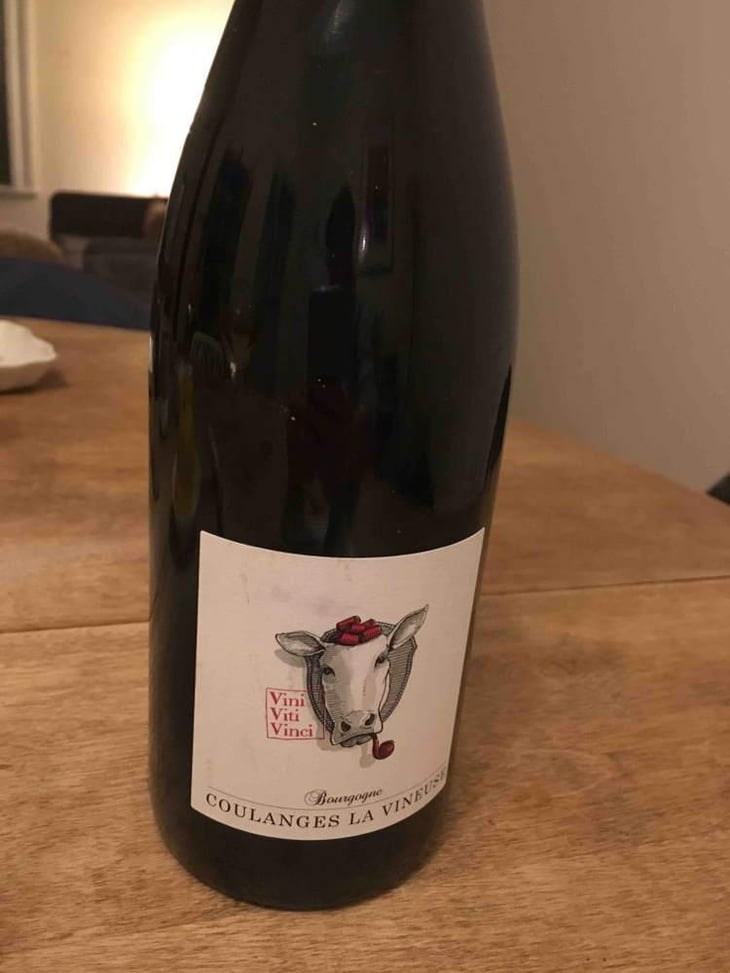 Bourgogne Coulanges La Vineuse "Chanvan" - Vini Viti Vinci - Nicolas Vauthier "Kikro" 