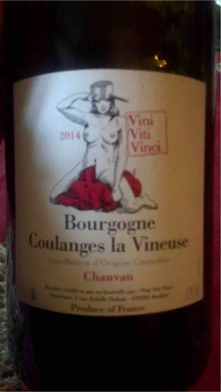 Bourgogne Coulanges La Vineuse "Chanvan" - Vini Viti Vinci - Nicolas Vauthier "Kikro" 