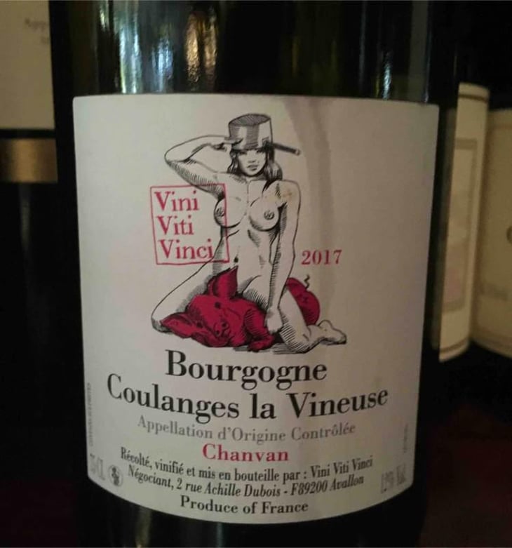 Bourgogne Coulanges La Vineuse "Chanvan" - Vini Viti Vinci - Nicolas Vauthier "Kikro" 