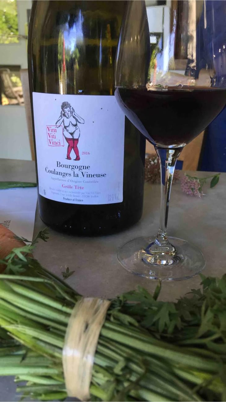 Bourgogne Coulanges la Vineuse "Grôle Tête" - Vini Viti Vinci - Nicolas Vauthier "Kikro" 