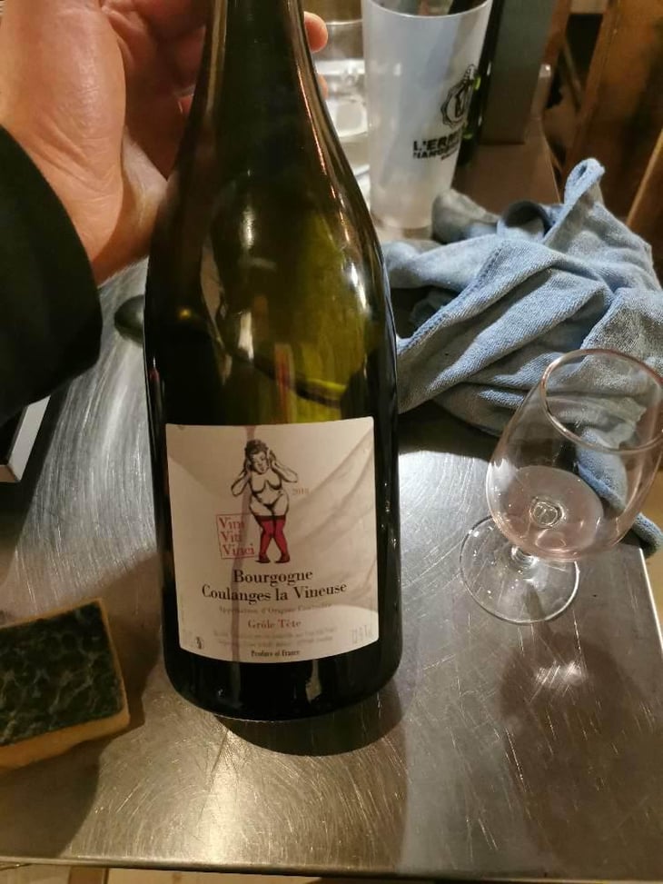 Bourgogne Coulanges la Vineuse "Grôle Tête" - Vini Viti Vinci - Nicolas Vauthier "Kikro" 