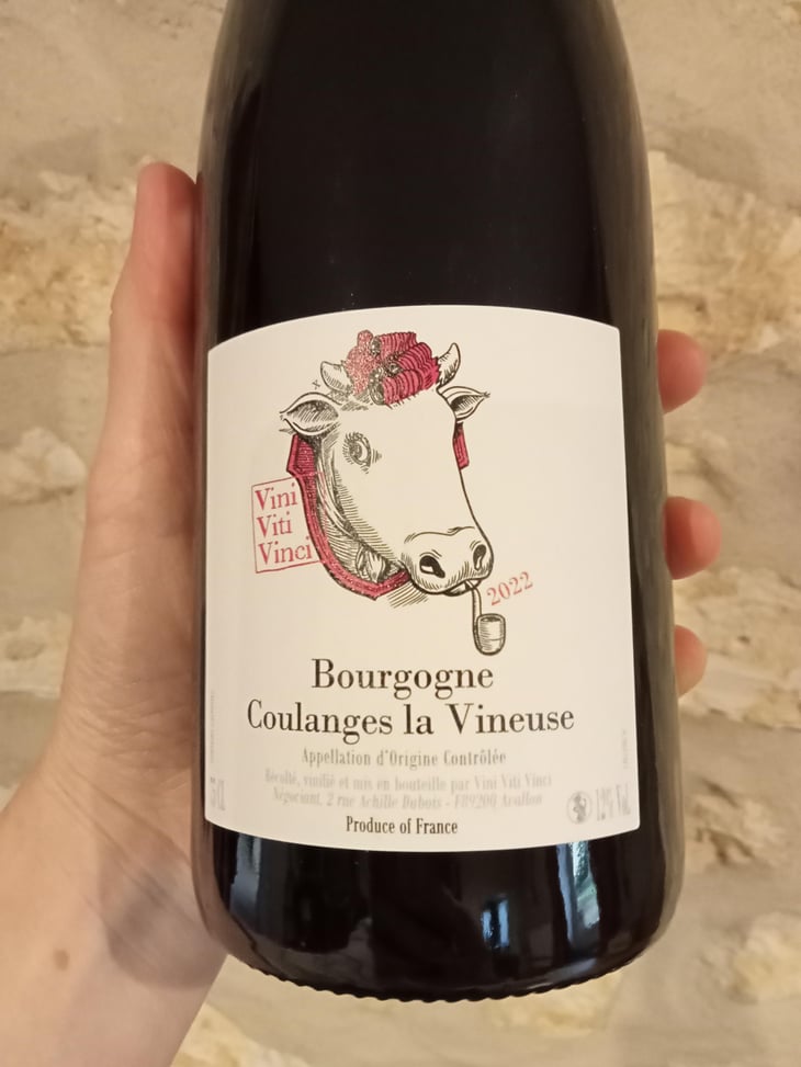 Bourgogne Coulanges la Vineuse "Grôle Tête" - Vini Viti Vinci - Nicolas Vauthier "Kikro" 