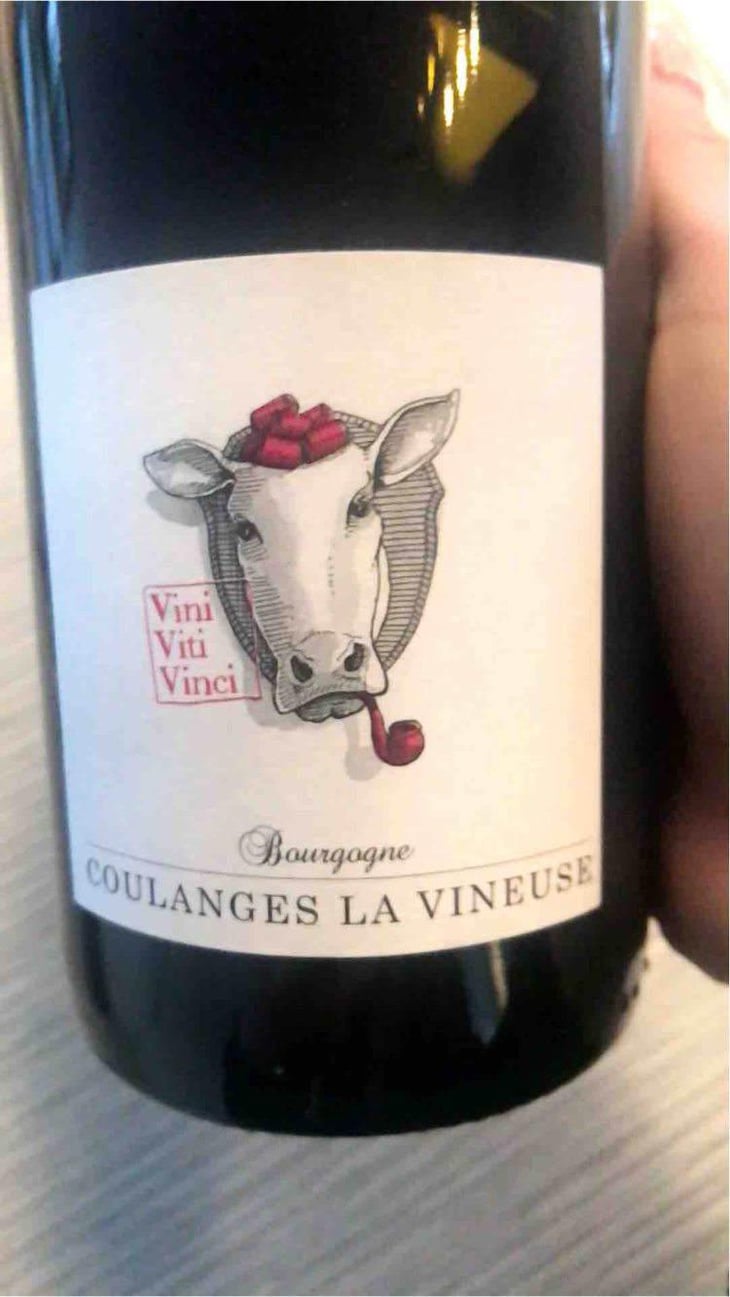 Bourgogne Coulanges La Vineuse - Vini Viti Vinci - Nicolas Vauthier "Kikro" 