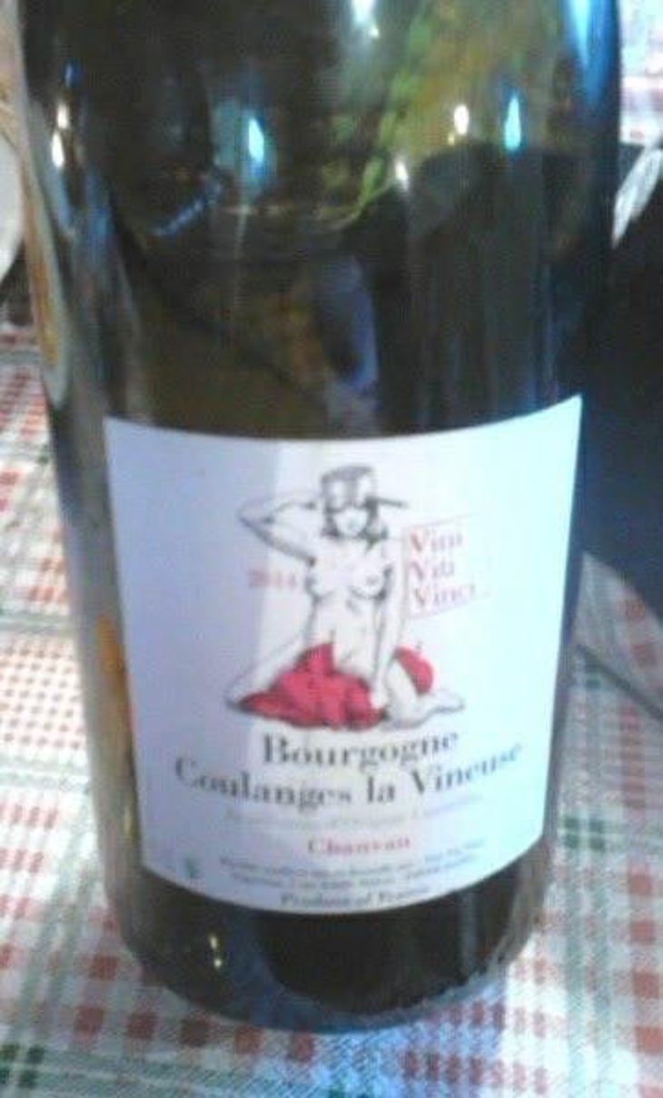 Bourgogne Coulanges La Vineuse - Vini Viti Vinci - Nicolas Vauthier "Kikro" 