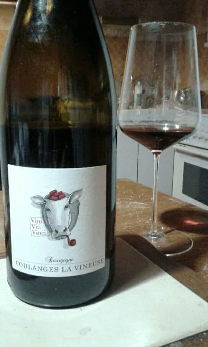 Bourgogne Coulanges La Vineuse - Vini Viti Vinci - Nicolas Vauthier "Kikro" 