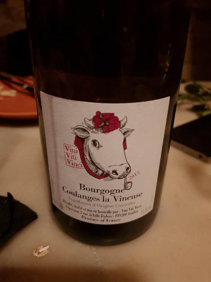 Bourgogne Coulanges La Vineuse - Vini Viti Vinci - Nicolas Vauthier "Kikro" 