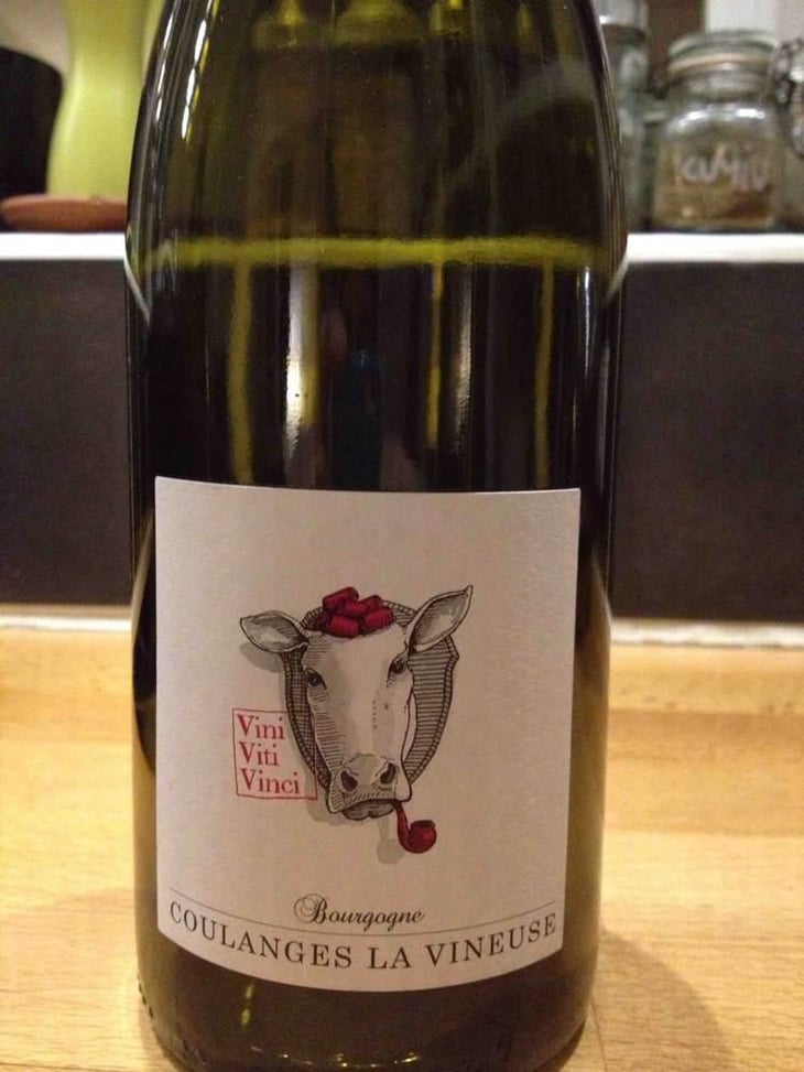 Bourgogne Coulanges La Vineuse - Vini Viti Vinci - Nicolas Vauthier "Kikro" 