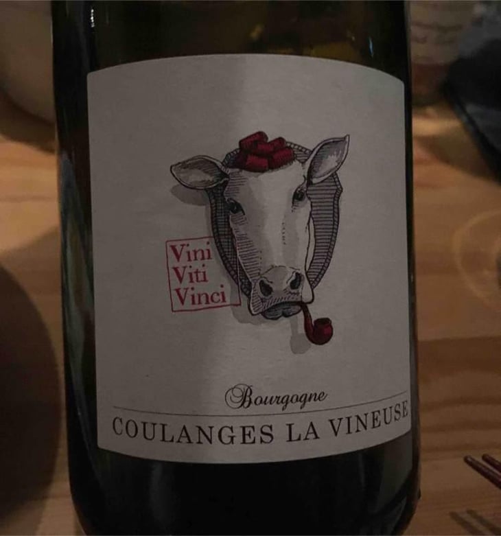 Bourgogne Coulanges La Vineuse - Vini Viti Vinci - Nicolas Vauthier "Kikro" 