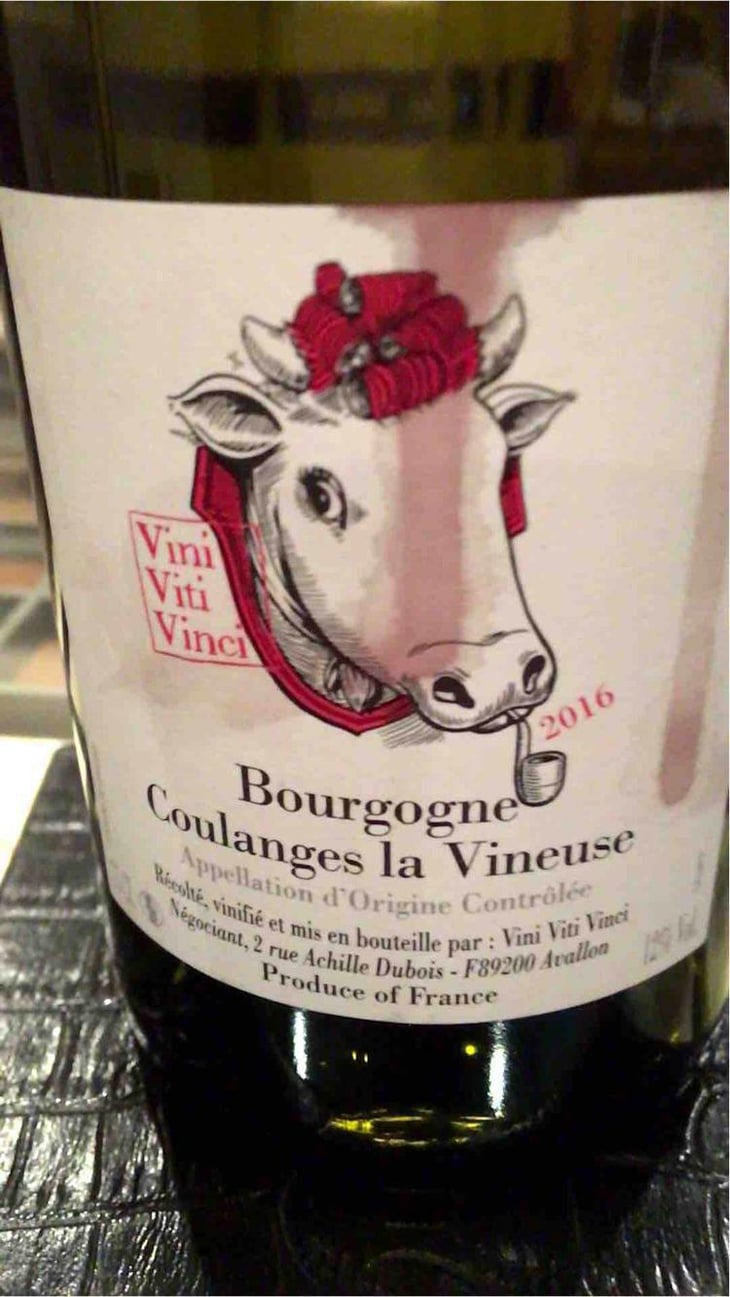Bourgogne Coulanges La Vineuse - Vini Viti Vinci - Nicolas Vauthier "Kikro" 