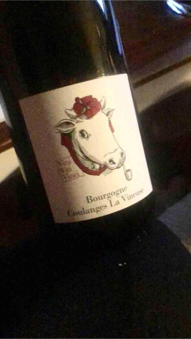 Bourgogne Coulanges La Vineuse - Vini Viti Vinci - Nicolas Vauthier "Kikro" 