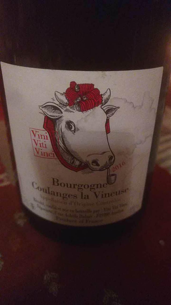 Bourgogne Coulanges La Vineuse - Vini Viti Vinci - Nicolas Vauthier "Kikro" 